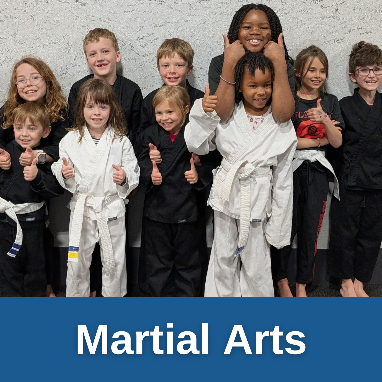 Martial Arts